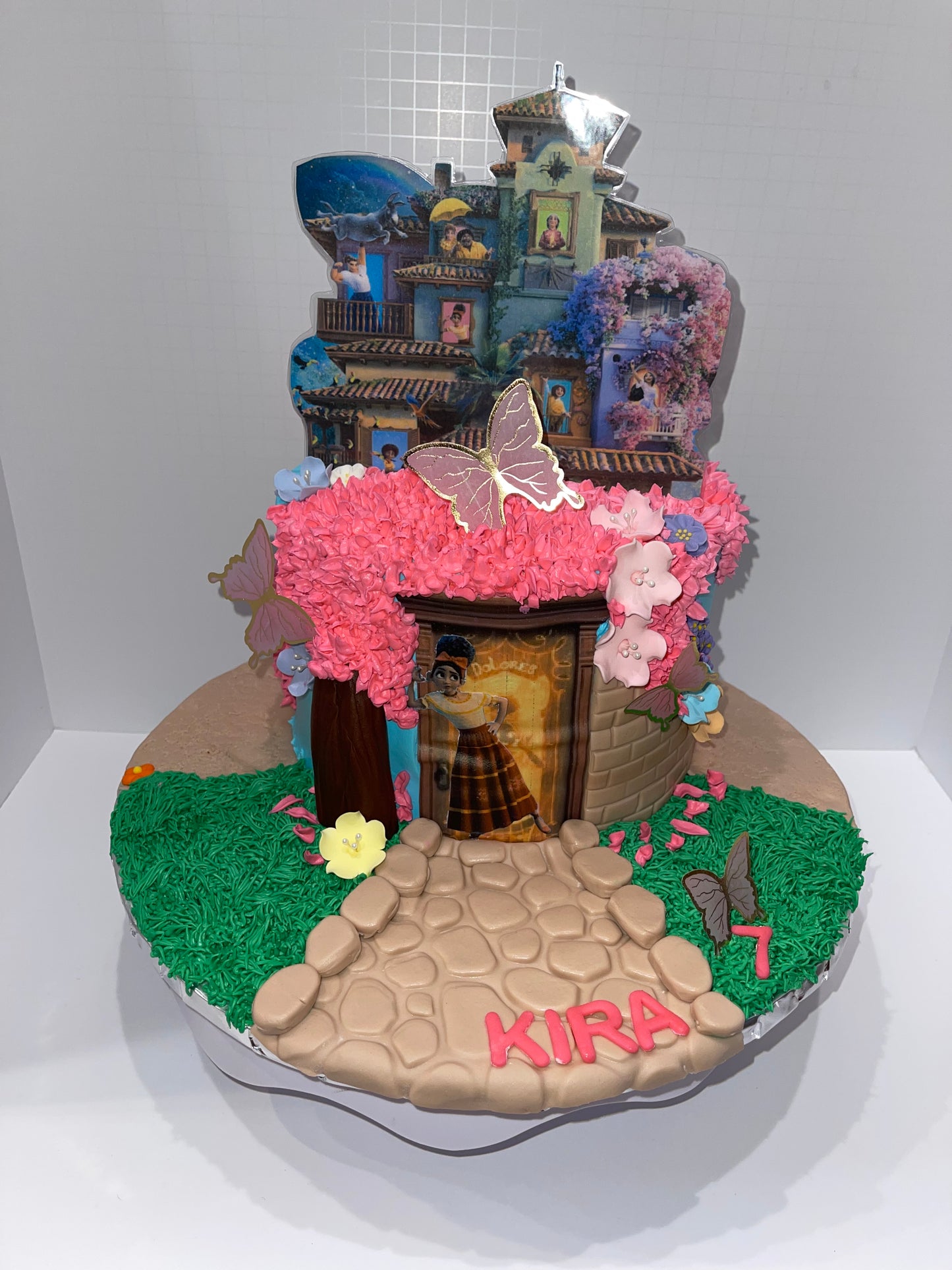 Encanto Cake